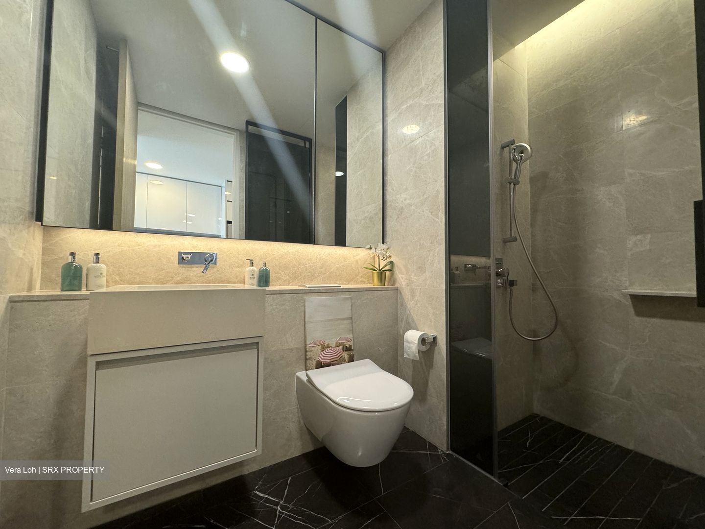 Amber Park (D15), Condominium #429034521
